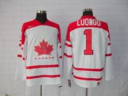 wholesale sell canada team nhl jersey from mickey82118@yahoo.com